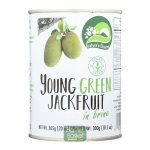 JACKFRUIT SIN GLUTEN LATA 565G