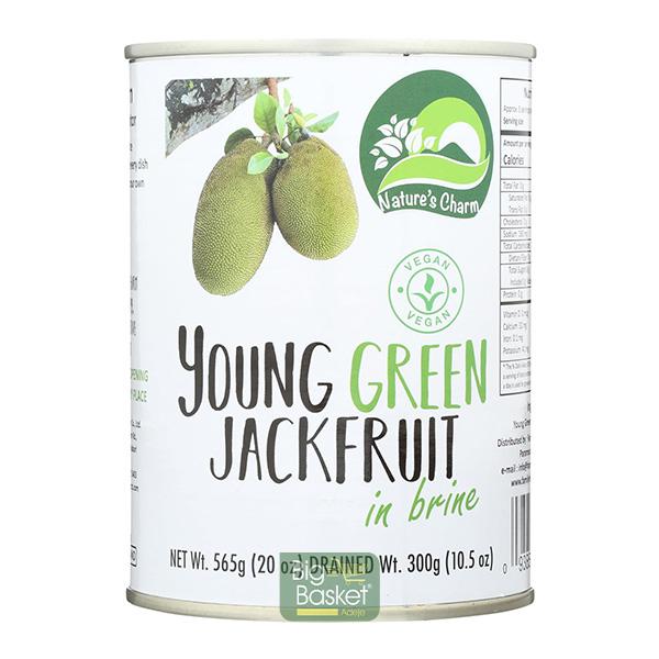 JACKFRUIT SIN GLUTEN LATA 565G